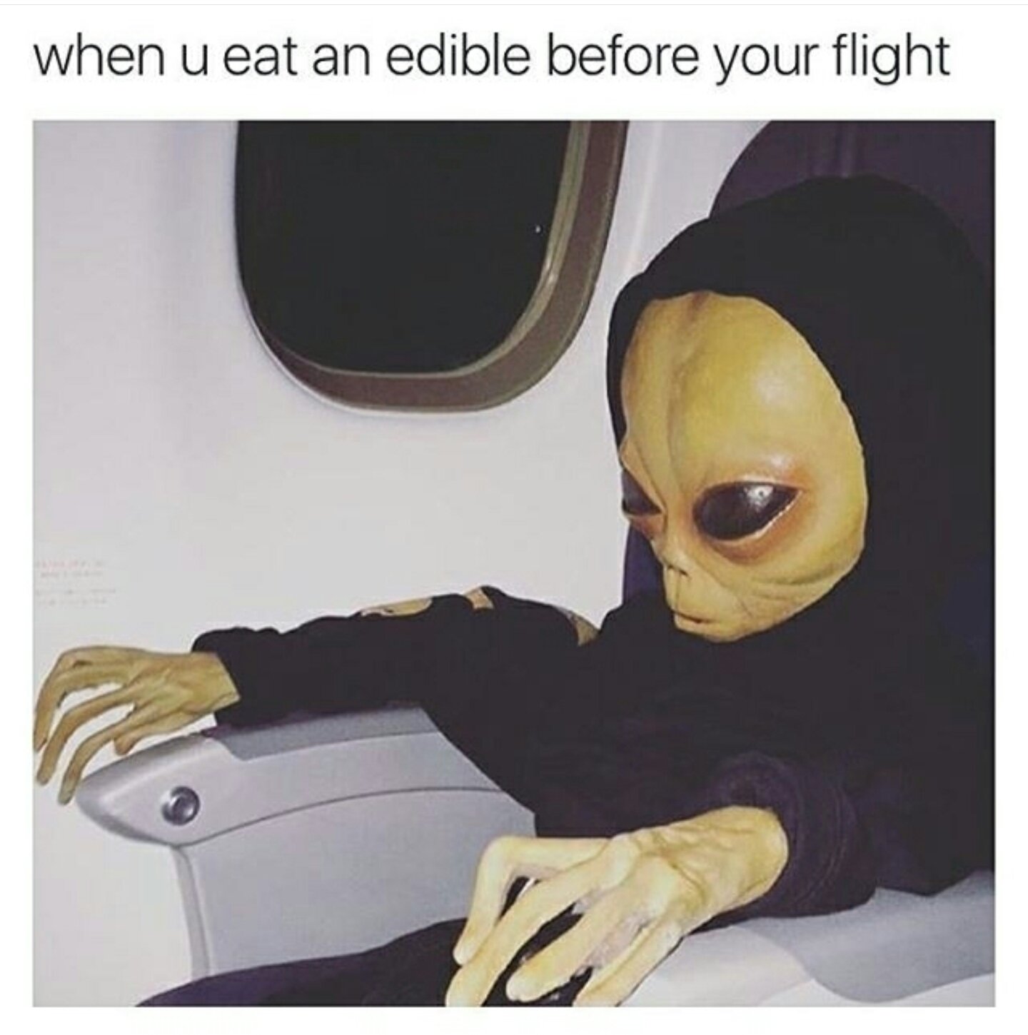 The Amsterdam Cannabis Tram